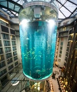 16 Meter hohes Aquarium in Hotel explodiert: Zwei Verletzte