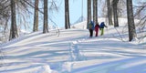 Tag 2: Wir erkunden das Vorarlberger Brandnertal