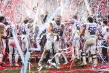 Vienna Vikings erklimmen Europas Football-Thron