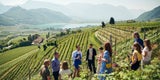 DIE FASZINATION DER SÜDTIROLER WEINSTRASSE