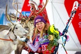 Shiffrin Rentier Levi