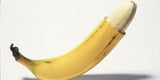 Penis