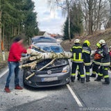 Böen entwurzelten Baum im Bezirk Waidhofen an der Thaya.&nbsp;