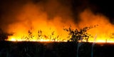 Feuerwehr-Großeinsatz bei Schilfbrand am Neusiedler See