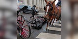 Erneuter Fiaker-Unfall in Wien