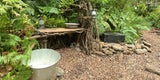 Dschungelcamp