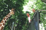 Giraffen-Jungtier Amari schon über zwei Meter groß