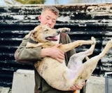 Sieben Hunde tot