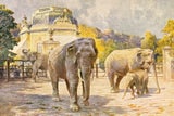 Tiergarten Schönbrunn feiert 270 Jahre
