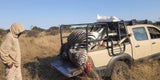 Berüchtigter Trophäenjäger in Südafrika erschossen