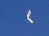 Angebliche UFO-Sichtung über Österreich