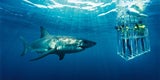 10 Gründe für eine Reise nach Südafrika