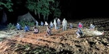 Flüchtlinge: "Sie kommen in Gruppen über die Grenze"