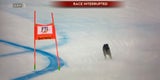 Hund Bormio