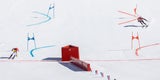 Team-GOLD! Ski-Stars mit perfektem Abschluss