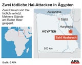 Zweite tödliche Hai-Attacke nahe Hurghada