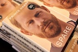 „Nepo-Babies“: Was es damit auf sich hat