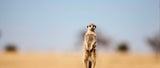 Eindrücke aus Südafrika
