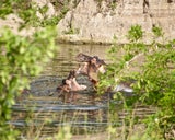 Safari mal anders: Am Meer, in der Luft oder am Bike