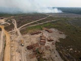 Abholzung des Amazonaswaldes erreicht Extremwert
