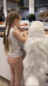 Kefir