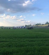 Zugsunglück in NÖ: Weiter Rätsel um Ursache