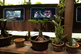 Harry Potter Ausstellung Wien2022