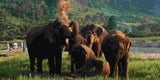 Thailand erleichtert die Einreise