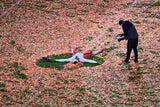 Kansas City Chiefs gewinnen 57. Super Bowl