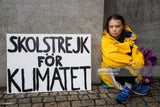 Thunberg spricht sich für AKWs aus