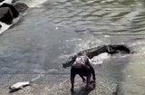 Kroko