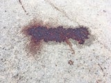 Blut