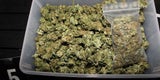 Fahnder schnappen Darknet-Drogendealer-Bande