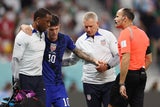 USA Aufstieg Pulisic