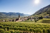 DIE FASZINATION DER SÜDTIROLER WEINSTRASSE