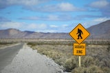 Bigfoot