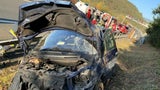 Schwerer Autounfall nach Wespenstich