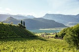 DIE FASZINATION DER SÜDTIROLER WEINSTRASSE