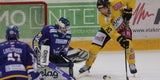 Matt Bradley Vienna Capitals