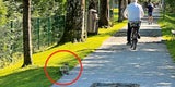 Fall Leon (6): Lebenslang für brutalen Räuber?