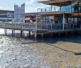 Sorge um Neusiedlersee
