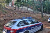 Drama in NÖ: Heißluftballon mit 9 Personen abgestürzt