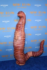 Das trug Heidi unter ihrem Wurm-Kostüm