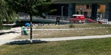 Bade-Drama: 11-Jährige in Badesee in der Seestadt ertrunken