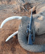 Berüchtigter Trophäenjäger in Südafrika erschossen
