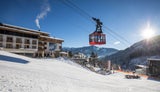 Safari im Schnee – THE BIG CARV