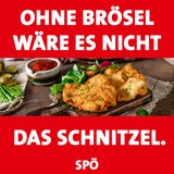 Neue SPÖ-Kampagne: ''Ohne Rot wäre es nicht Österreich''