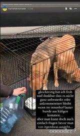 Hoermanseder: Nachbar ruft Polizei wegen "Welpenmafia"
