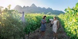Winelands