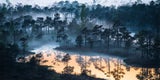 Die schönsten Nationalparks in Lettland